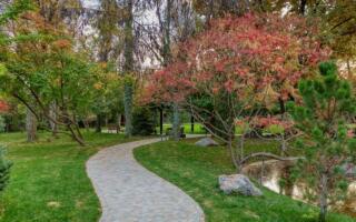 Ўзбекистонда миллий табиат боғлари ташкил этилади