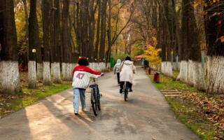 Тошкент ботаника боғида велосипед ва скутерлар ҳаракати тўхтатилади