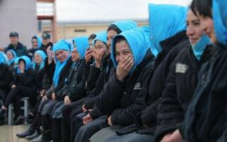 Ўзбекистонда маҳкум аёллар «Янги ҳаёт» дастури бўйича олийгоҳларда масофавий ўқиши мумкин бўлади