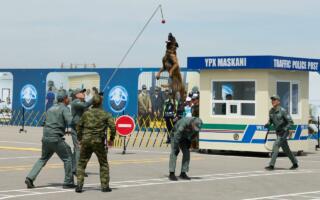 Наркобизнесни қурол билан эмас, пулсиз қолдириш орқали енгиш мумкин — Саида Мирзиёева