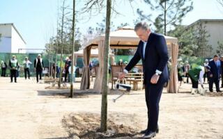 Бугун Шавкат Мирзиёев Миллий дендрология боғини барпо этишга старт беради