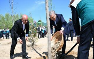 Шавкат Мирзиёев Миллий дендрология боғини барпо этишга старт берди