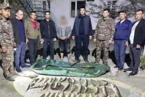Сирдарёда ноқонуний балиқ овлаш натижасида табиатга 700 млн сўмдан ортиқ зарар етказилди