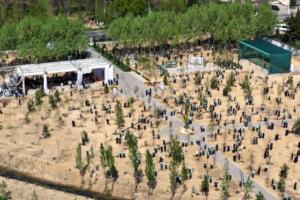 «Дарахт экиш — бу авлоддан-авлодга ўтадиган қадрият». «Яшил макон» лойиҳаси доирасида кўчат экиш ишлари давом этмоқда