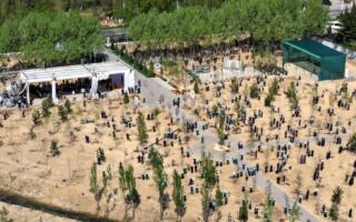 «Дарахт экиш — бу авлоддан-авлодга ўтадиган қадрият». «Яшил макон» лойиҳаси доирасида кўчат экиш ишлари давом этмоқда