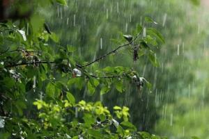 Ўзбекистонда дам олиш кунларида ёмғир ёғиши кутилмоқда