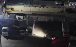 Тошкентда 2 нафар қоровул ўзларинг автомашинасида кучуклар устига ҳайдашди