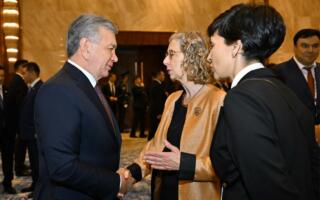 Шавкат Мирзиёев БМТнинг Атроф-муҳит бўйича дастури ижрочи директори билан учрашди