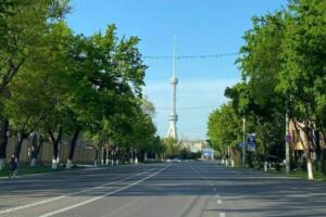 Ўзбекистонда бугун «Автомобилсиз кун» акцияси бўлиб ўтмоқда