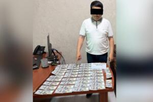 Андижонда $5 минг талаб қилган «Энергосавдо» юристконсулти ушланди