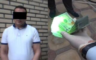 Бухорода туман соғлиқни сақлаш бўлими раҳбари $11,8 минг пора билан ушланди 