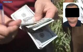 Самарқандда $5 минг пора талаб қилган электр таъминоти корхонаси раҳбари ушланди