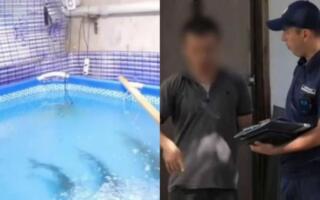 Фарғонада эркак кўп қаватли уйнинг ертўласида акула сақлаб келгани аниқланди