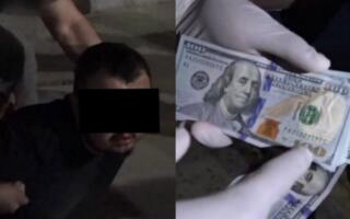 Тошкентда сохта долларларни сотмоқчи бўлган шахслар ушланди