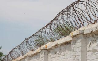 Сенаторлар давлат чегарасини ноқонуний кесиб ўтганлик учун жавобгарликни кучайтиришга оид қонунни маъқулладилар