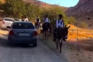 Самарқандда ўқувчилар мактабга эшакларда бораётгани юзасидан изоҳ берилди