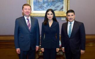 Саида Мирзиёева Туркия Президенти Администрацияси вакиллари билан ҳамкорлик масалаларини муҳокама қилди