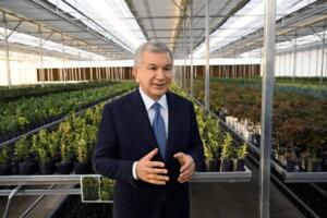 Шавкат Мирзиёев 9,5 млрд сўмлик кўчат етиштириш марказига ташриф буюрди