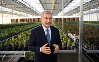 Шавкат Мирзиёев 9,5 млрд сўмлик кўчат етиштириш марказига ташриф буюрди